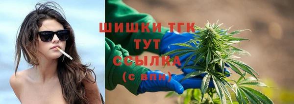 скорость Гусев