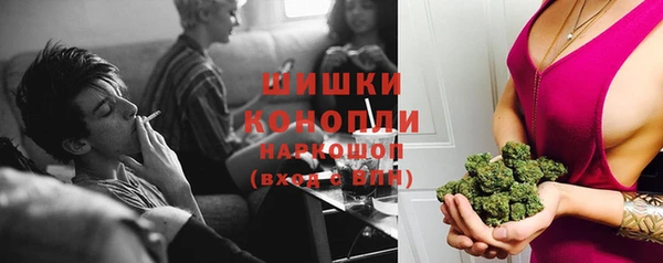 скорость Гусев