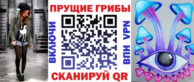 Галлюциногенные грибы Psilocybe  OMG как войти  Медвежьегорск  где купить наркоту 